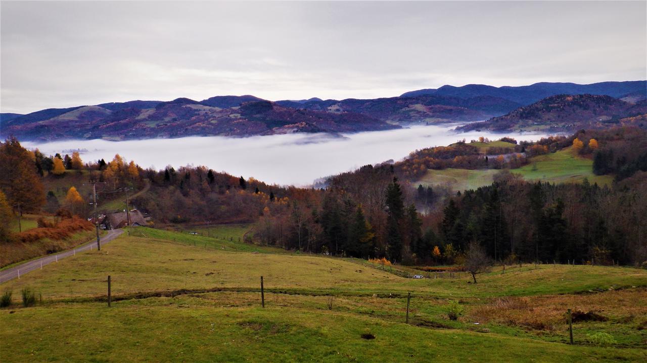 Auberge Du Grammont Ramonchamp 外观 照片